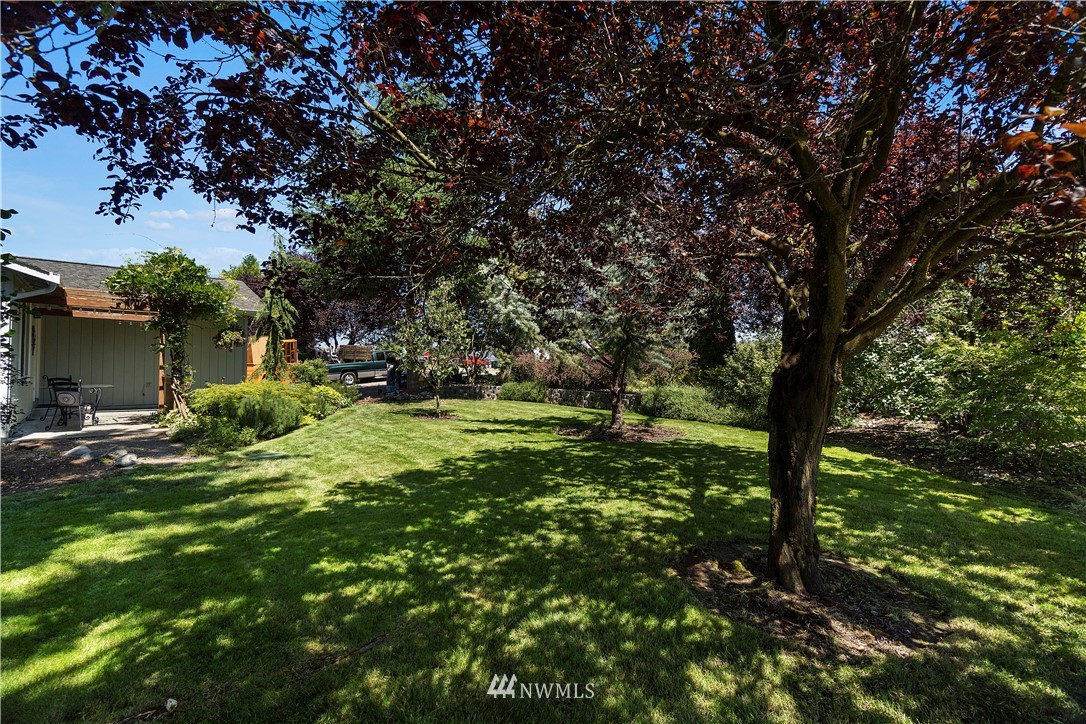 18135 Tamara Lane Southwest Rochester, WA 98579 - Photo 14 of 20 a view of a house with a backyard