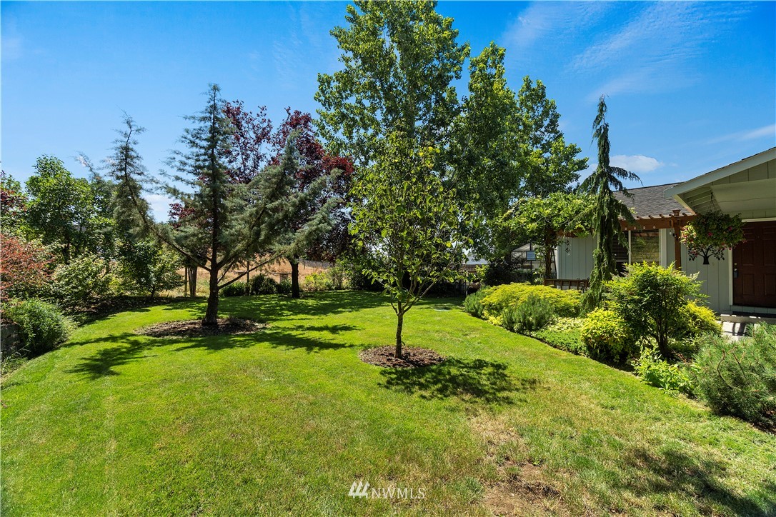 18135 Tamara Lane Southwest Rochester, WA 98579 - Photo 4 of 20 a view of backyard with green space