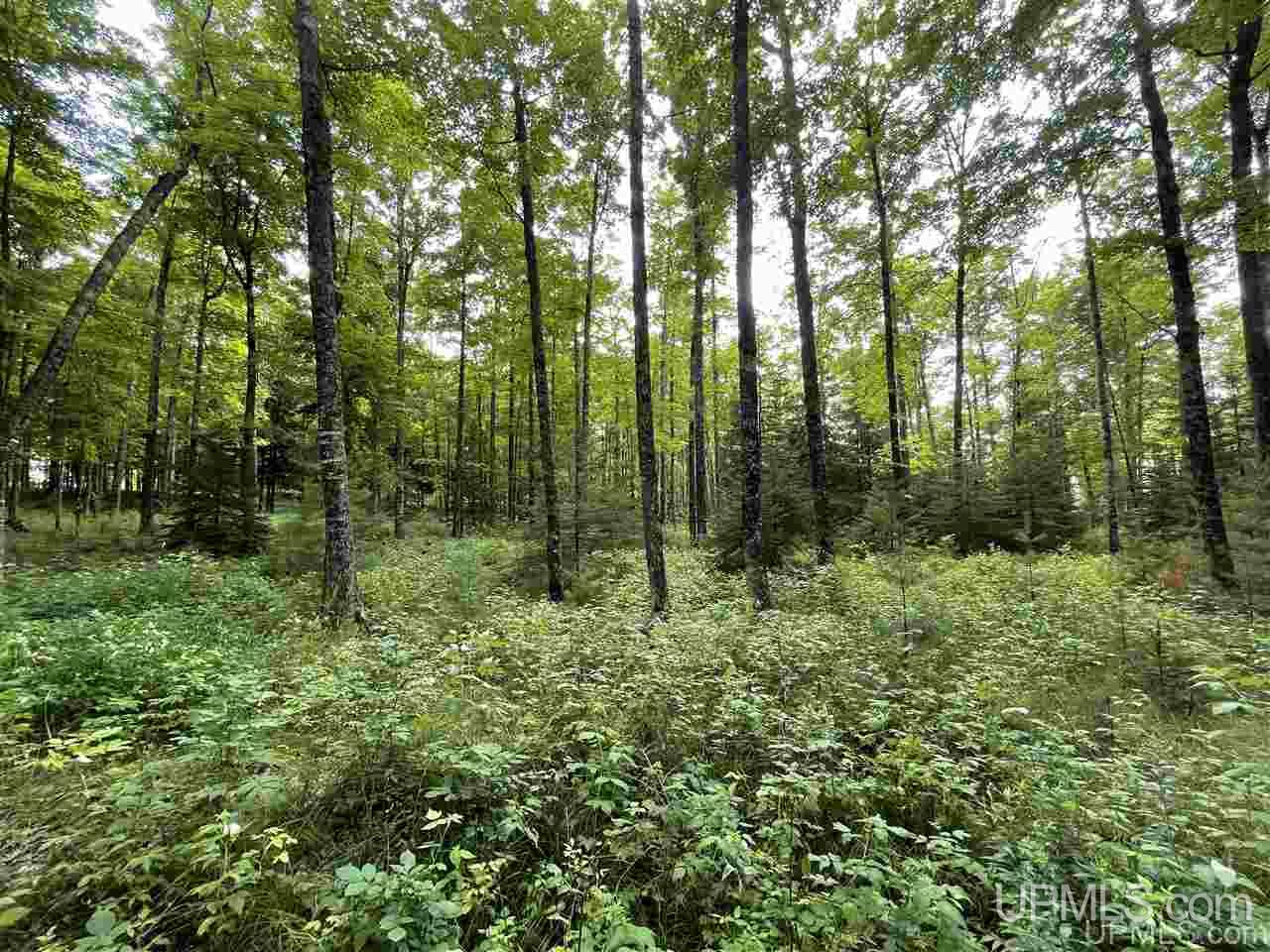 Tbd Sand Road, Unit 2 Powers, MI 49874 - Photo 27 of 38