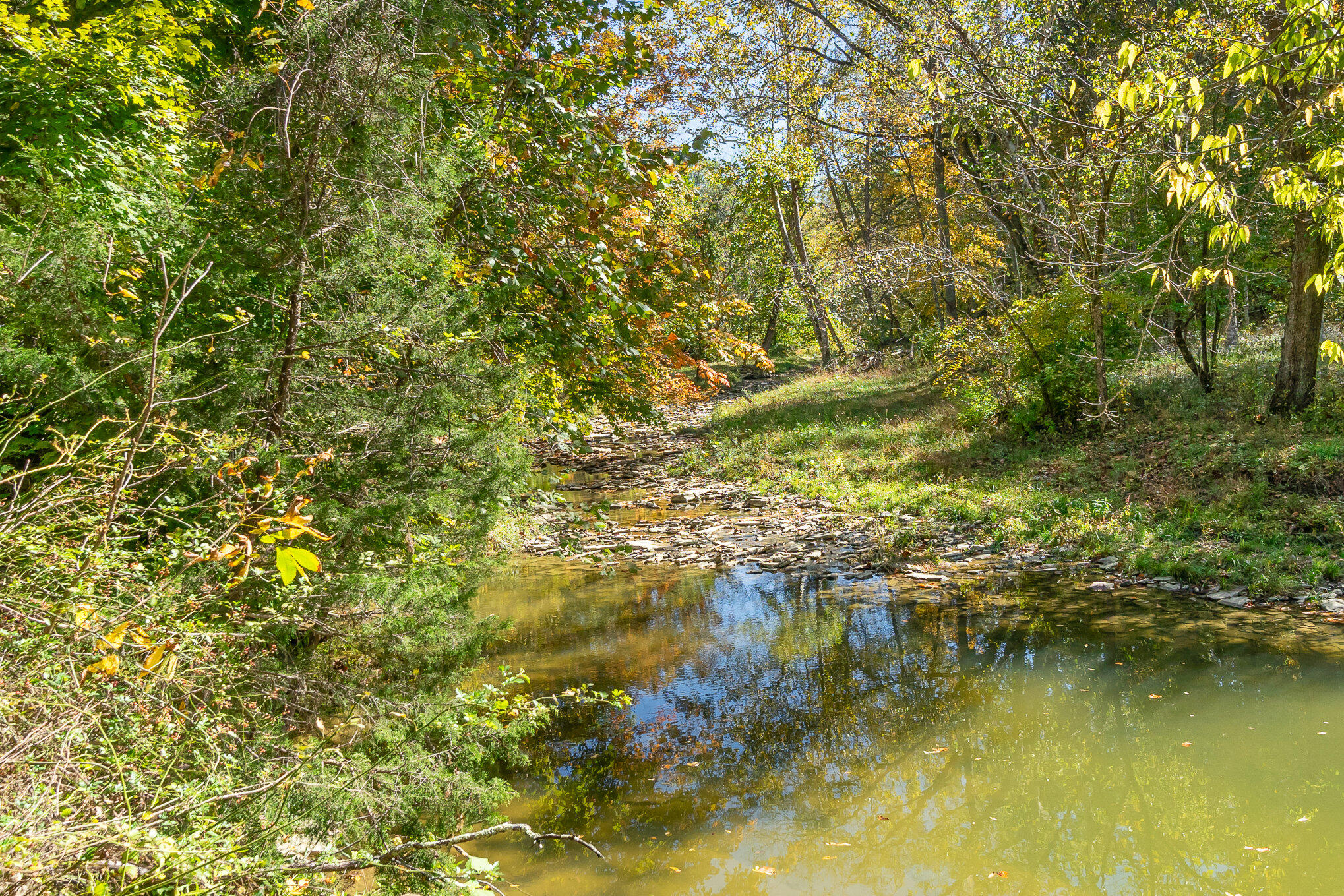 3910 Taft Highway Dry Ridge, KY 41035 - Photo 41 of 50