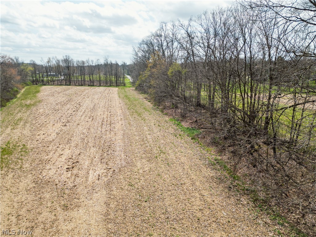Steiner Road Sterling, OH 44276 - Photo 7 of 22