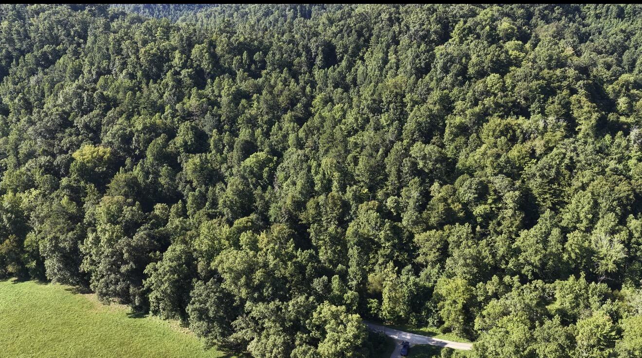821 Doolittle Road Annville, KY 40402 - Photo 11 of 19 IMG_3710
