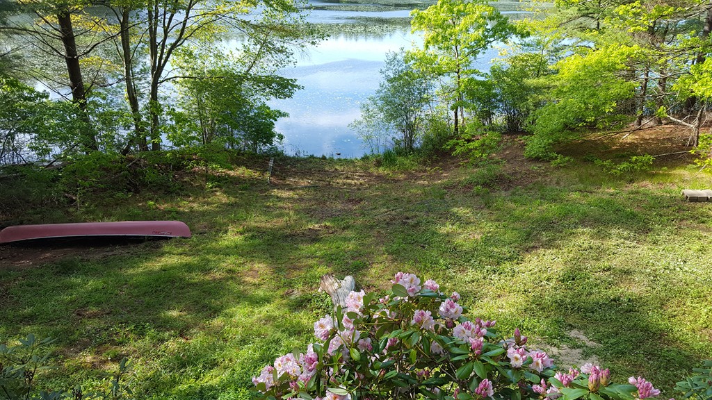 50 Bunnys Road Carver, MA 02330 - Photo 4 of 7 Gallery Image 4