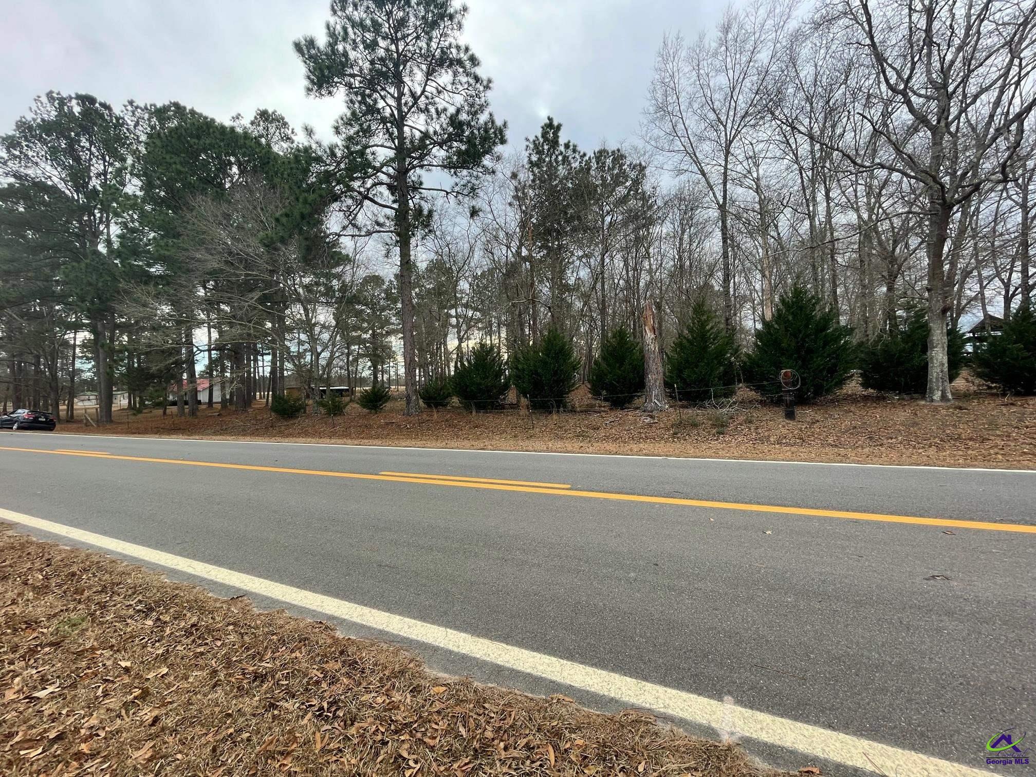 Bates Road Cochran, GA 31014 - Photo 4 of 11