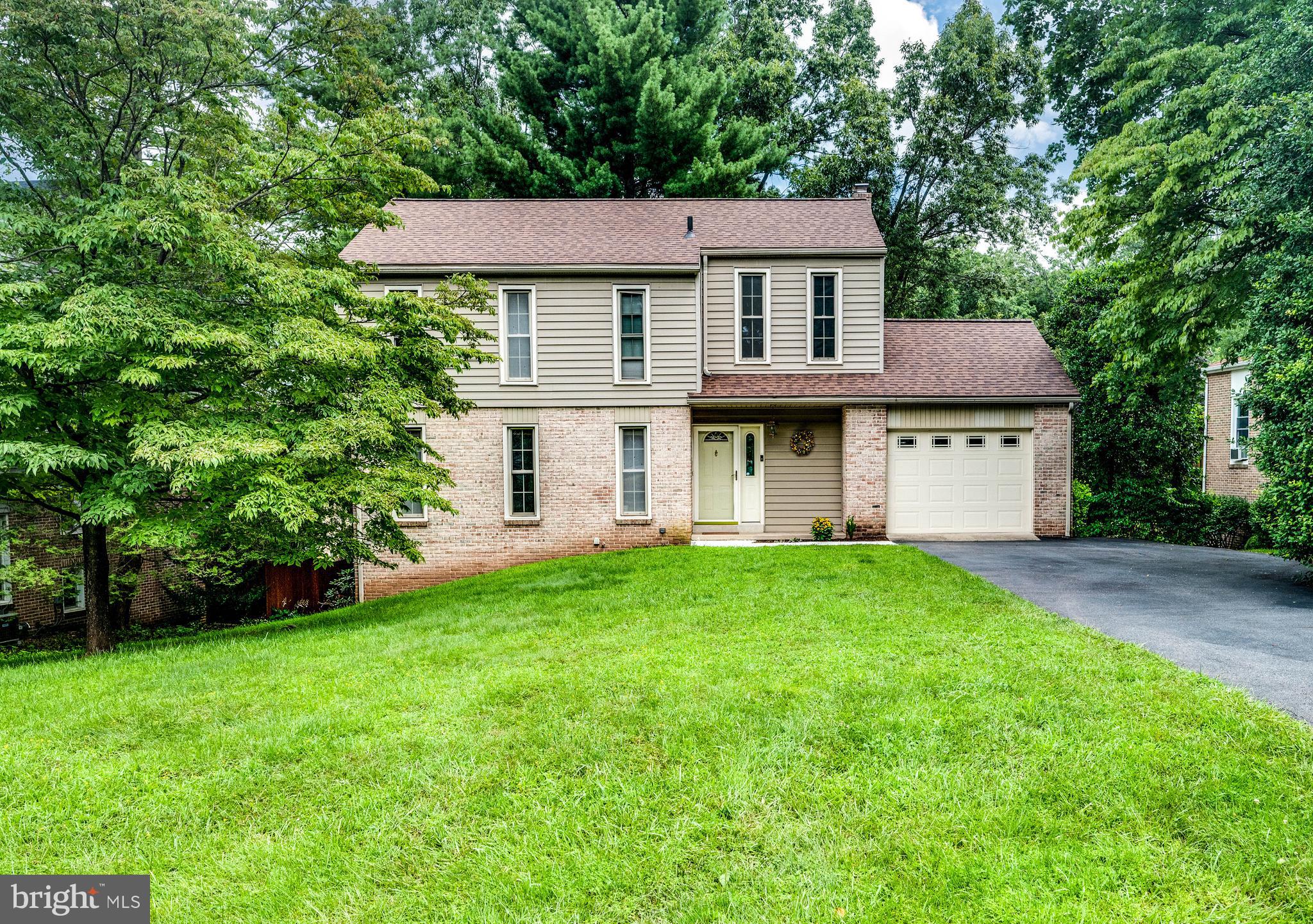 a view of a yard in front of a house with large plants and large trees