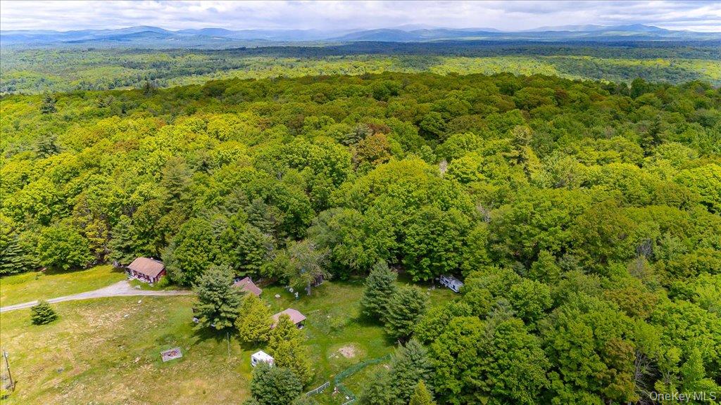 101 Red Star Road Greenfield Park, NY 12435 - Photo 50 of 50