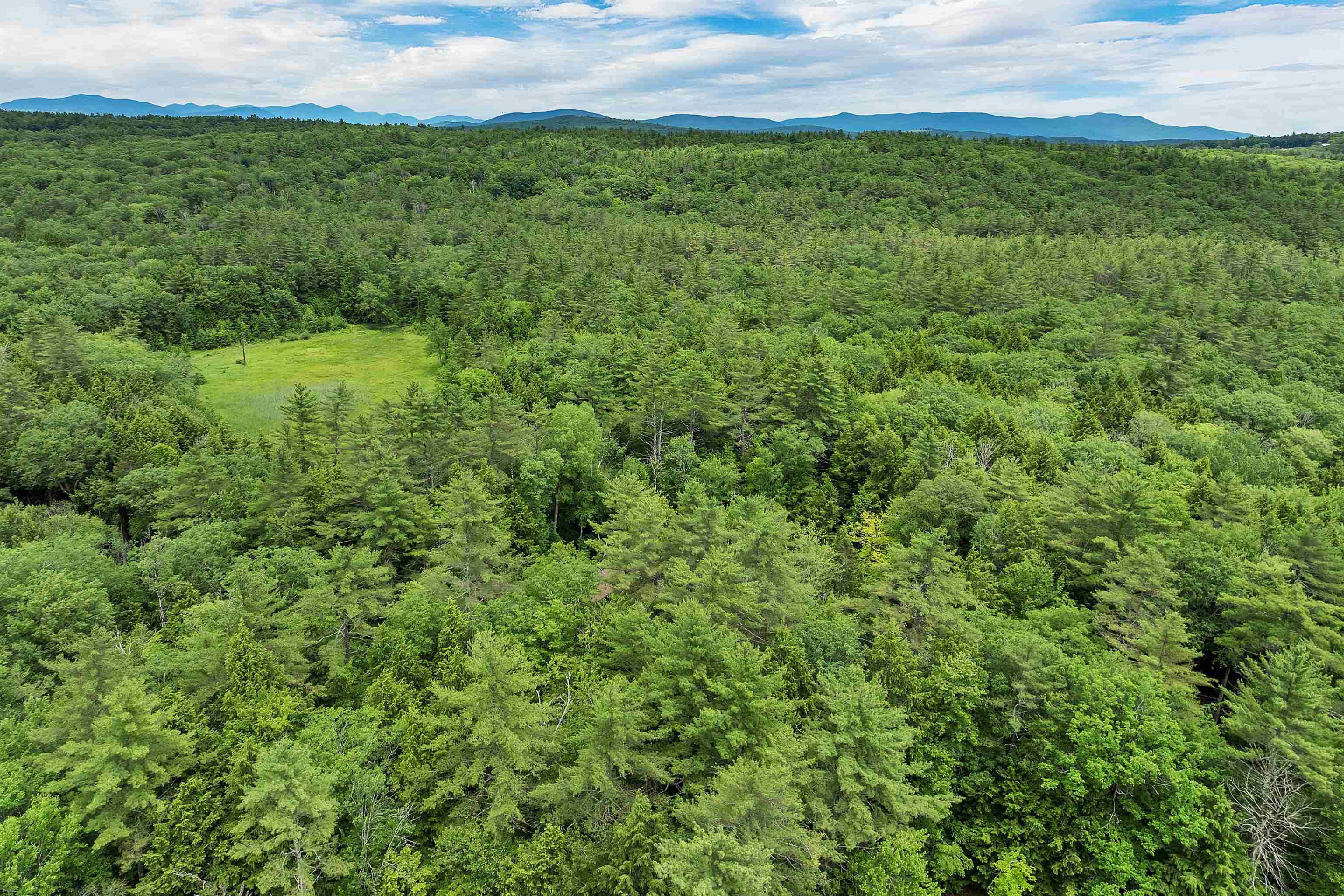 42 Forest Pond Road New Hampton, NH 03256 - Photo 17 of 60