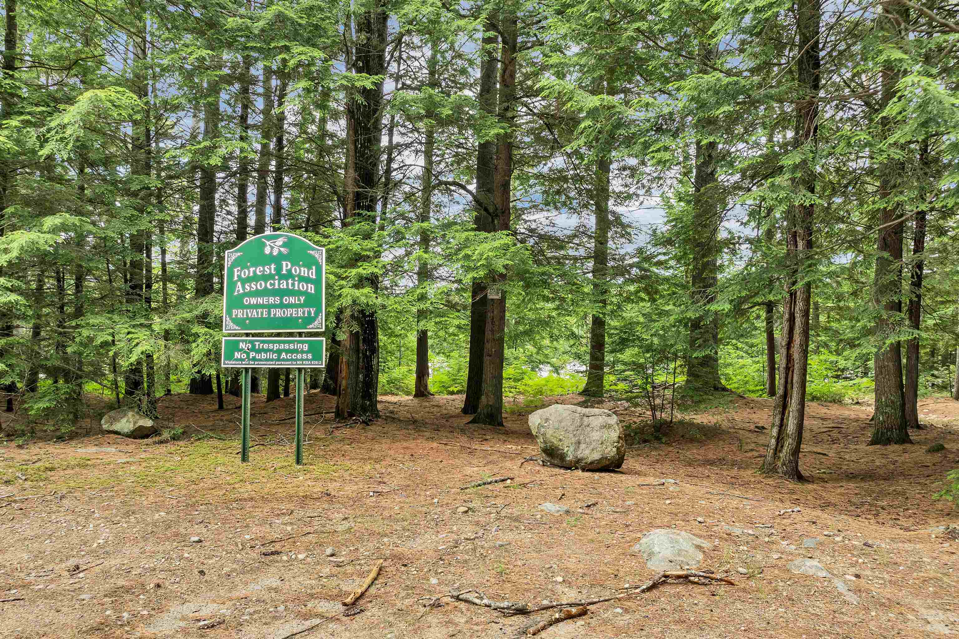 42 Forest Pond Road New Hampton, NH 03256 - Photo 25 of 60