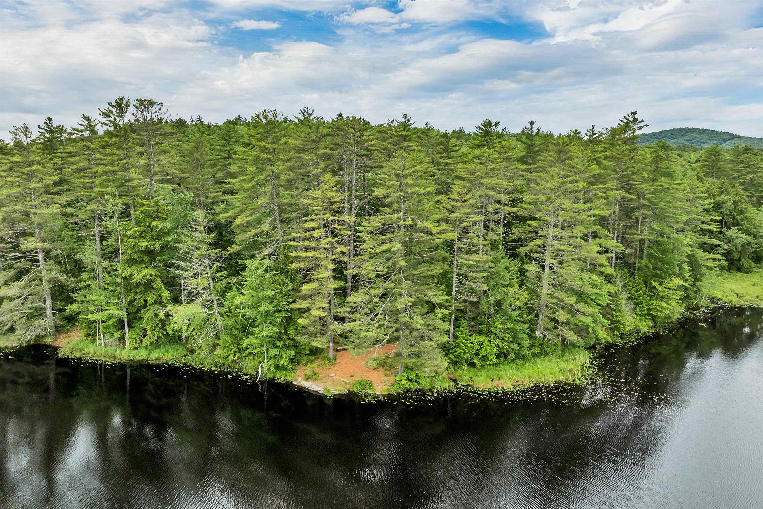 42 Forest Pond Road New Hampton, NH 03256 - Photo 29 of 60