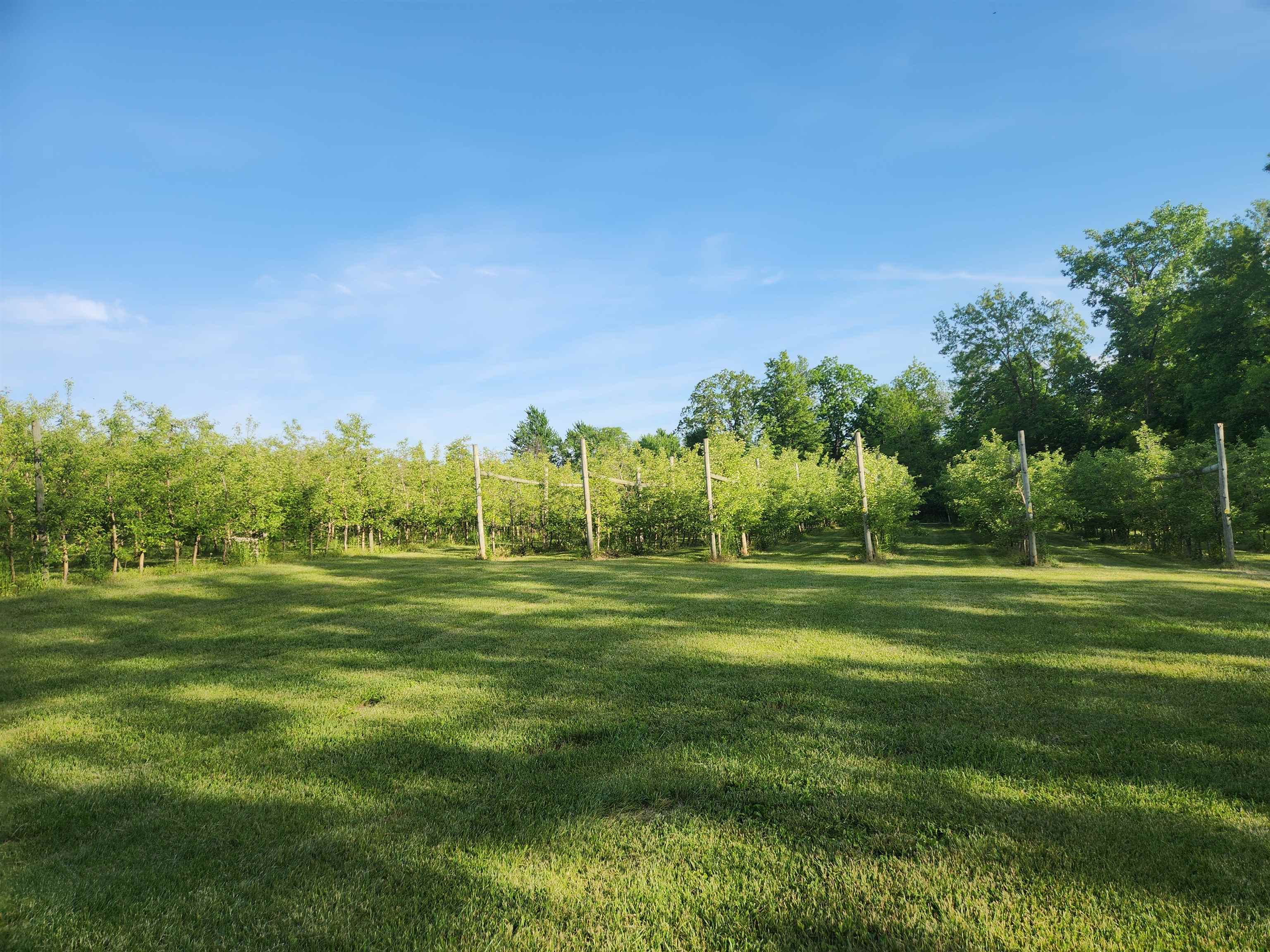 16318 County Rd V Hillsboro, WI 54634 - Photo 1 of 8