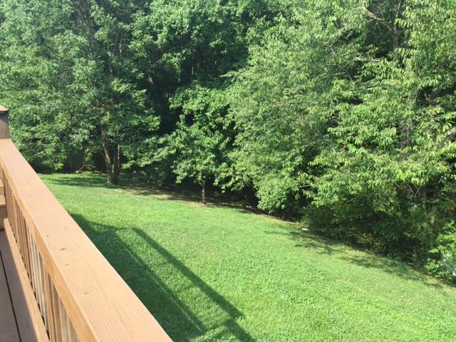 173 Roach Hollow Road Ringgold, GA 30736 - Photo 4 of 4 4