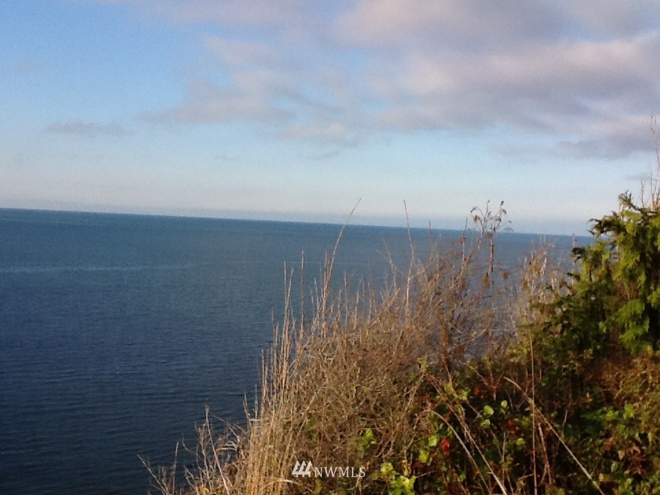 137 McCurdy Point Road Port Townsend, WA 98368 - Photo 1 of 15 Gallery Image 1