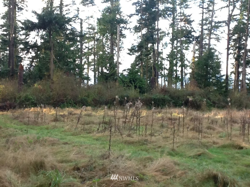 137 McCurdy Point Road Port Townsend, WA 98368 - Photo 11 of 15 Gallery Image 11