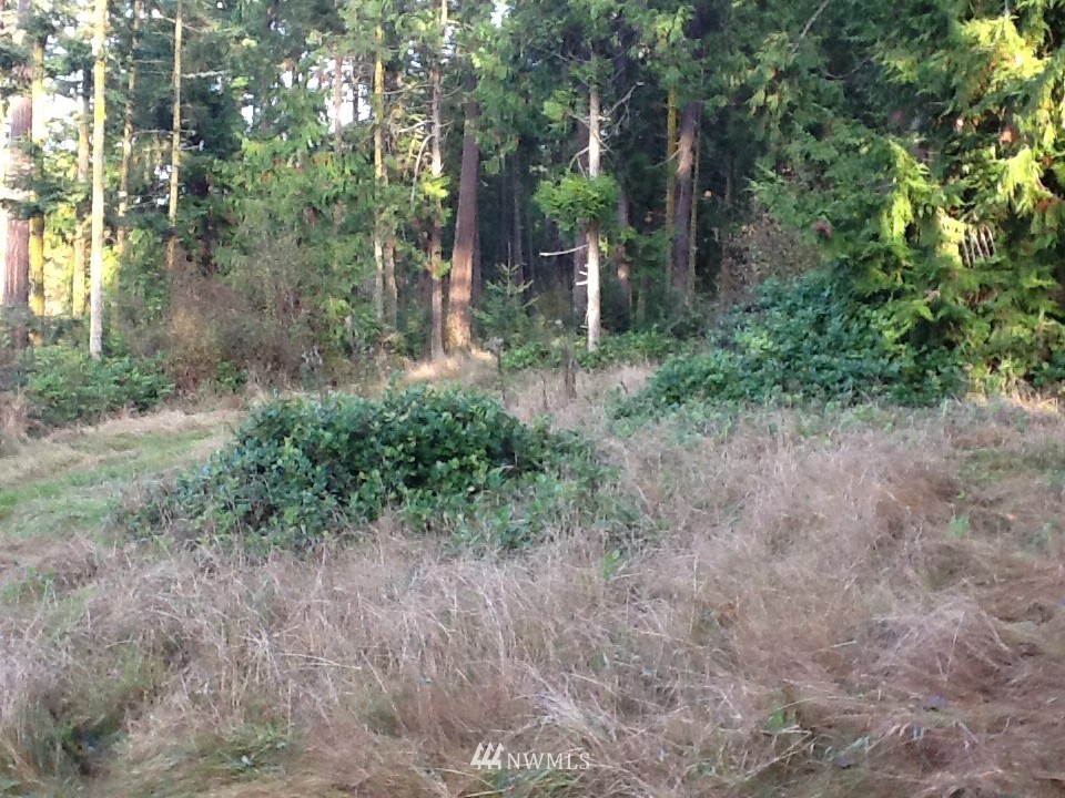 137 McCurdy Point Road Port Townsend, WA 98368 - Photo 12 of 15 Gallery Image 12