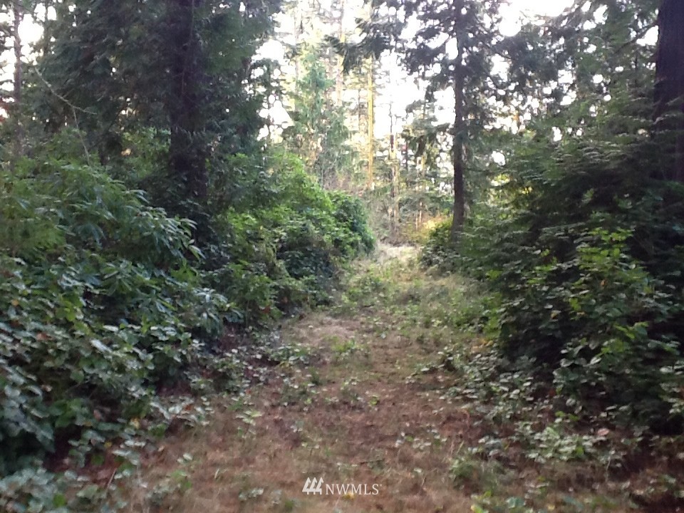 137 McCurdy Point Road Port Townsend, WA 98368 - Photo 13 of 15 Gallery Image 13