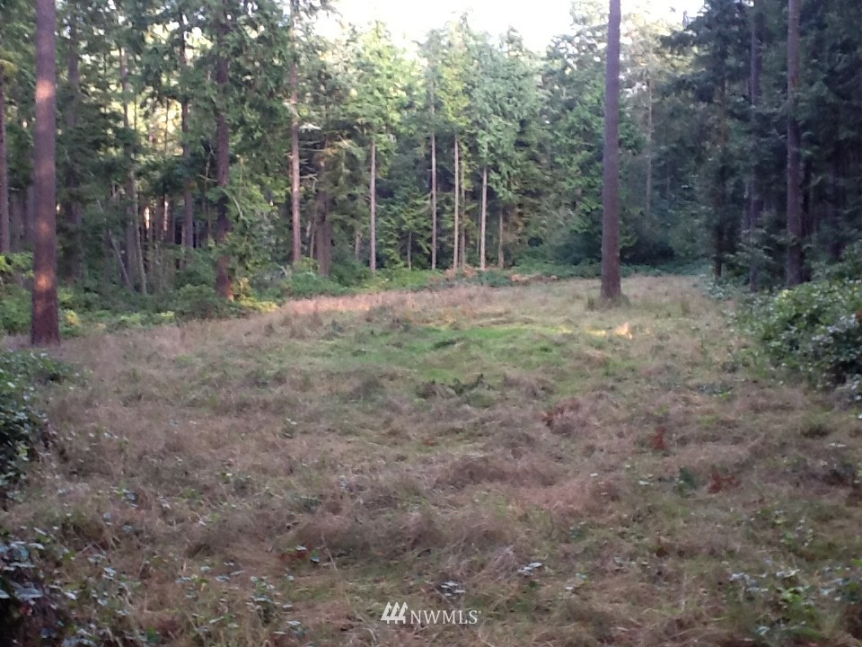137 McCurdy Point Road Port Townsend, WA 98368 - Photo 14 of 15 Gallery Image 14