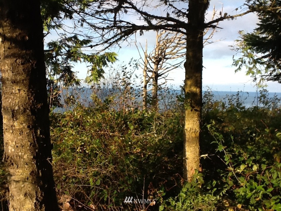 137 McCurdy Point Road Port Townsend, WA 98368 - Photo 3 of 15 Gallery Image 3