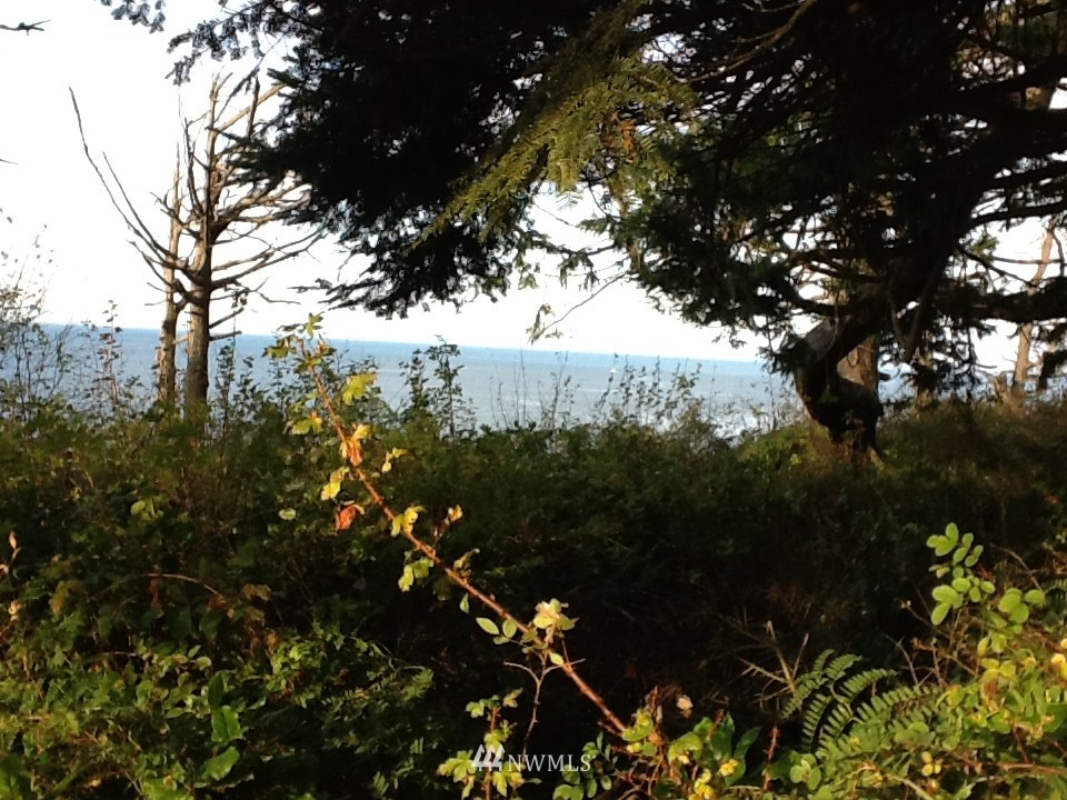 137 McCurdy Point Road Port Townsend, WA 98368 - Photo 5 of 15 Gallery Image 5