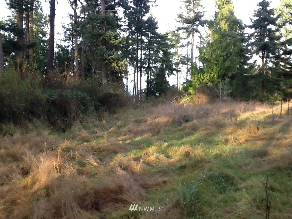 137 McCurdy Point Road Port Townsend, WA 98368 - Photo 10 of 15 Gallery Image 10