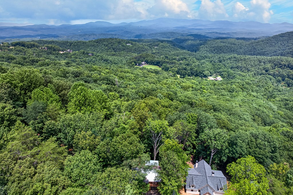 986 Mountain Oak Road Ellijay, GA 30536 - Photo 4 of 59 Gallery Image 4