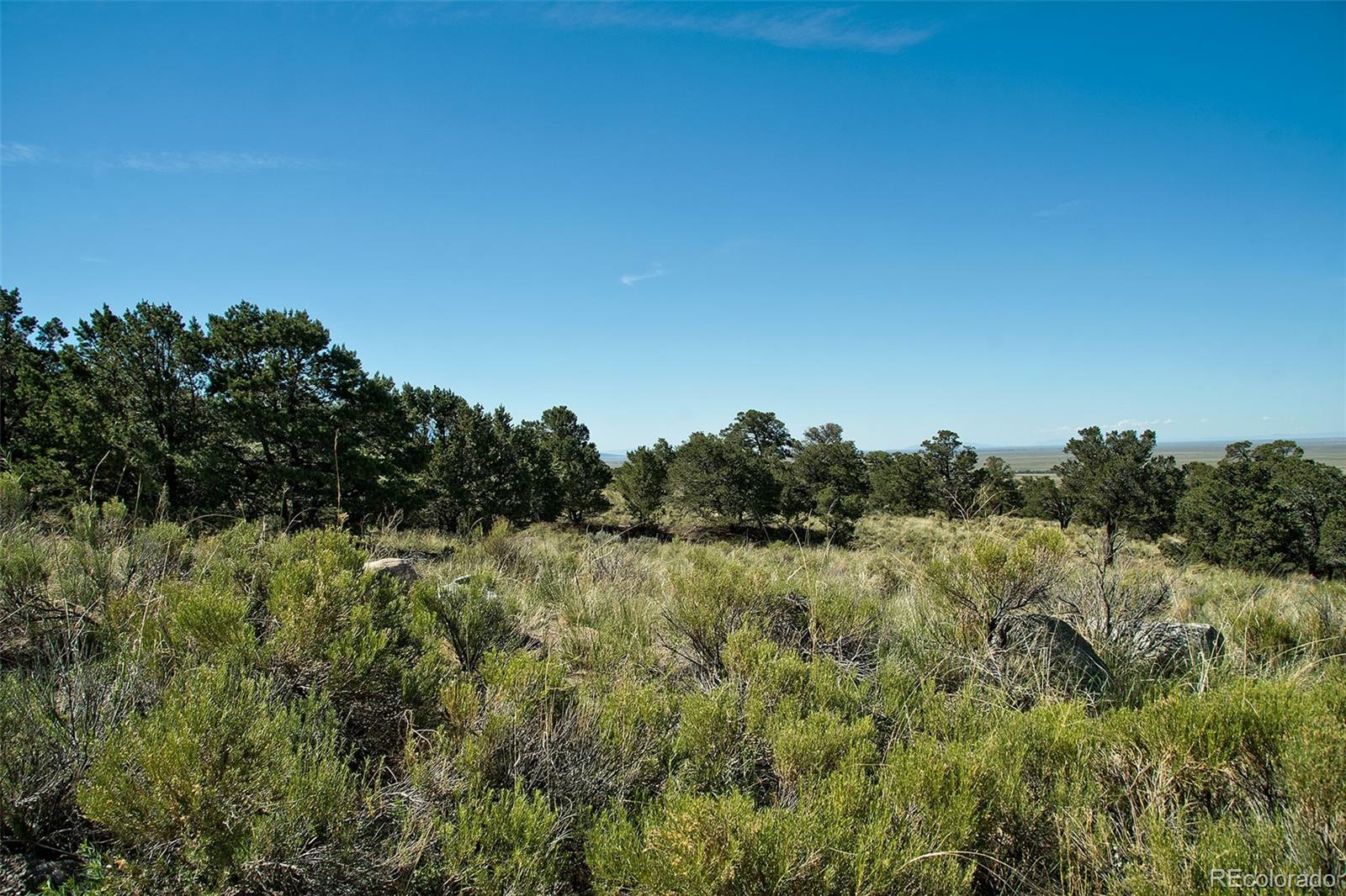 4438 Rarity Court Crestone, CO 81131 - Photo 11 of 14 a view of a field of grass and trees
