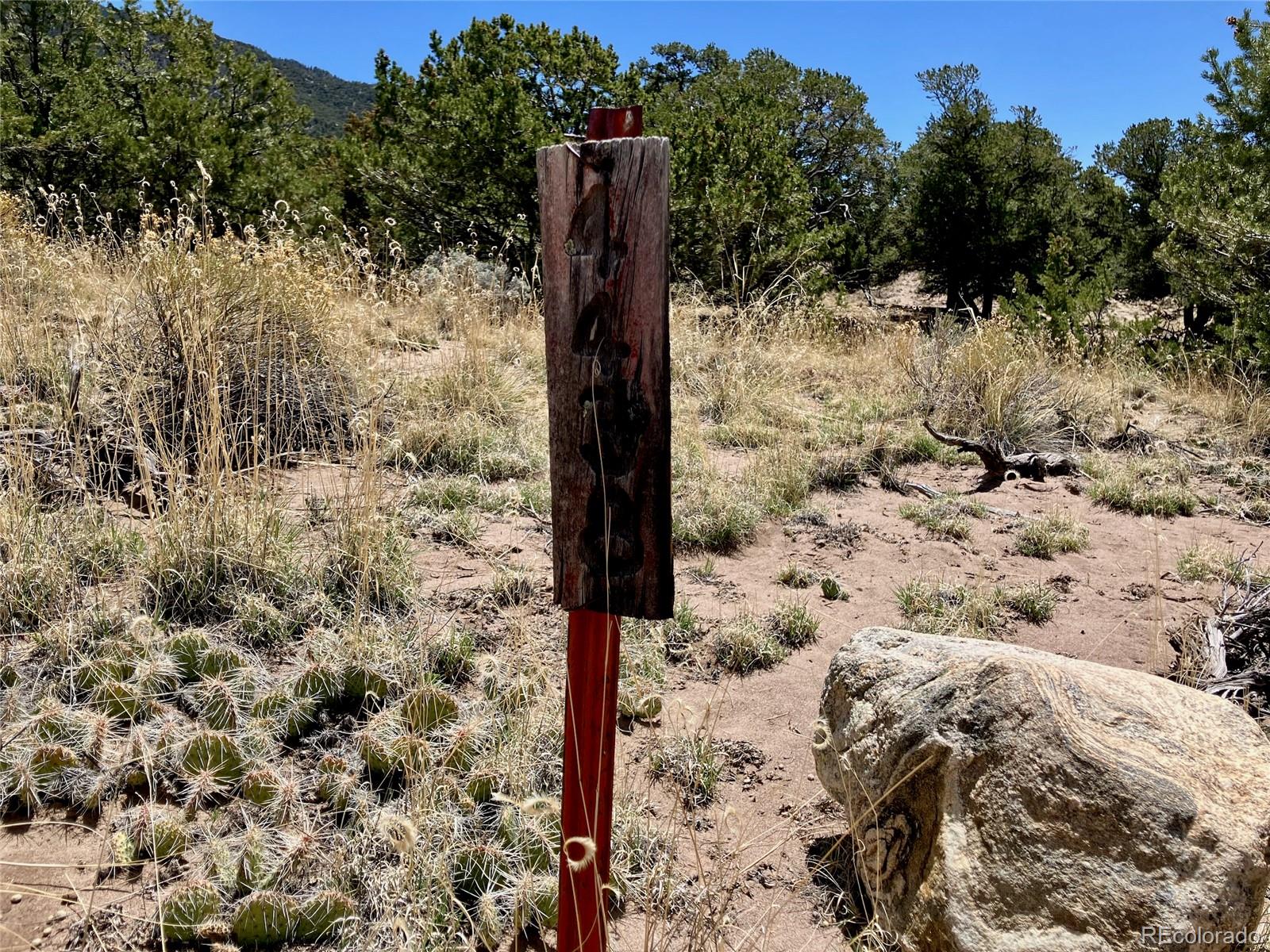 4438 Rarity Court Crestone, CO 81131 - Photo 12 of 14 a view of a yard with plants and wooden fence