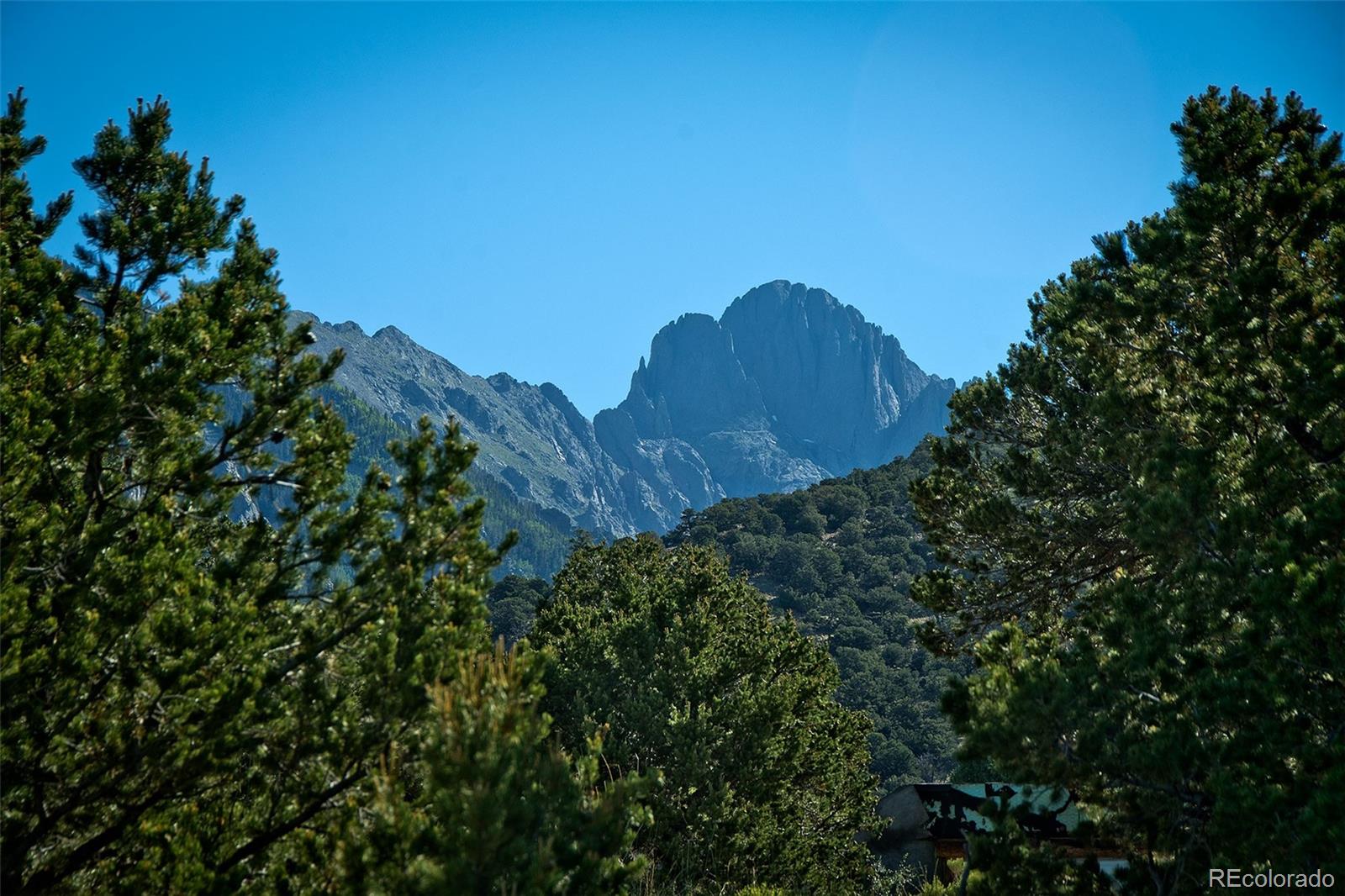 4438 Rarity Court Crestone, CO 81131 - Photo 2 of 14 a view of a tree in a field of a building