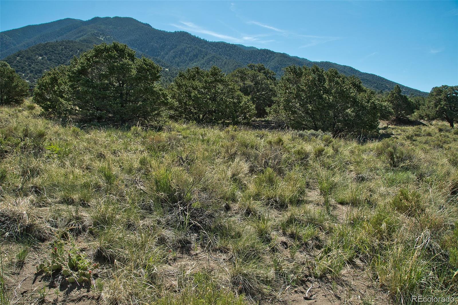 4438 Rarity Court Crestone, CO 81131 - Photo 5 of 14 a view of a lush green hillside and a mountain