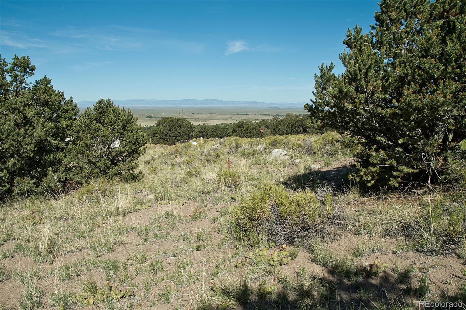 4438 Rarity Court Crestone, CO 81131 - Photo 8 of 14 a view of a field with trees in the background