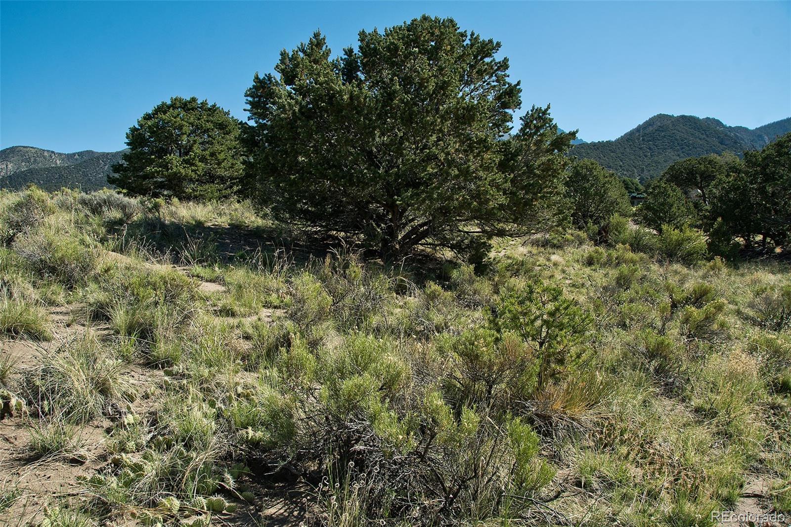 4438 Rarity Court Crestone, CO 81131 - Photo 10 of 14 a view of a lake with a mountain in the background