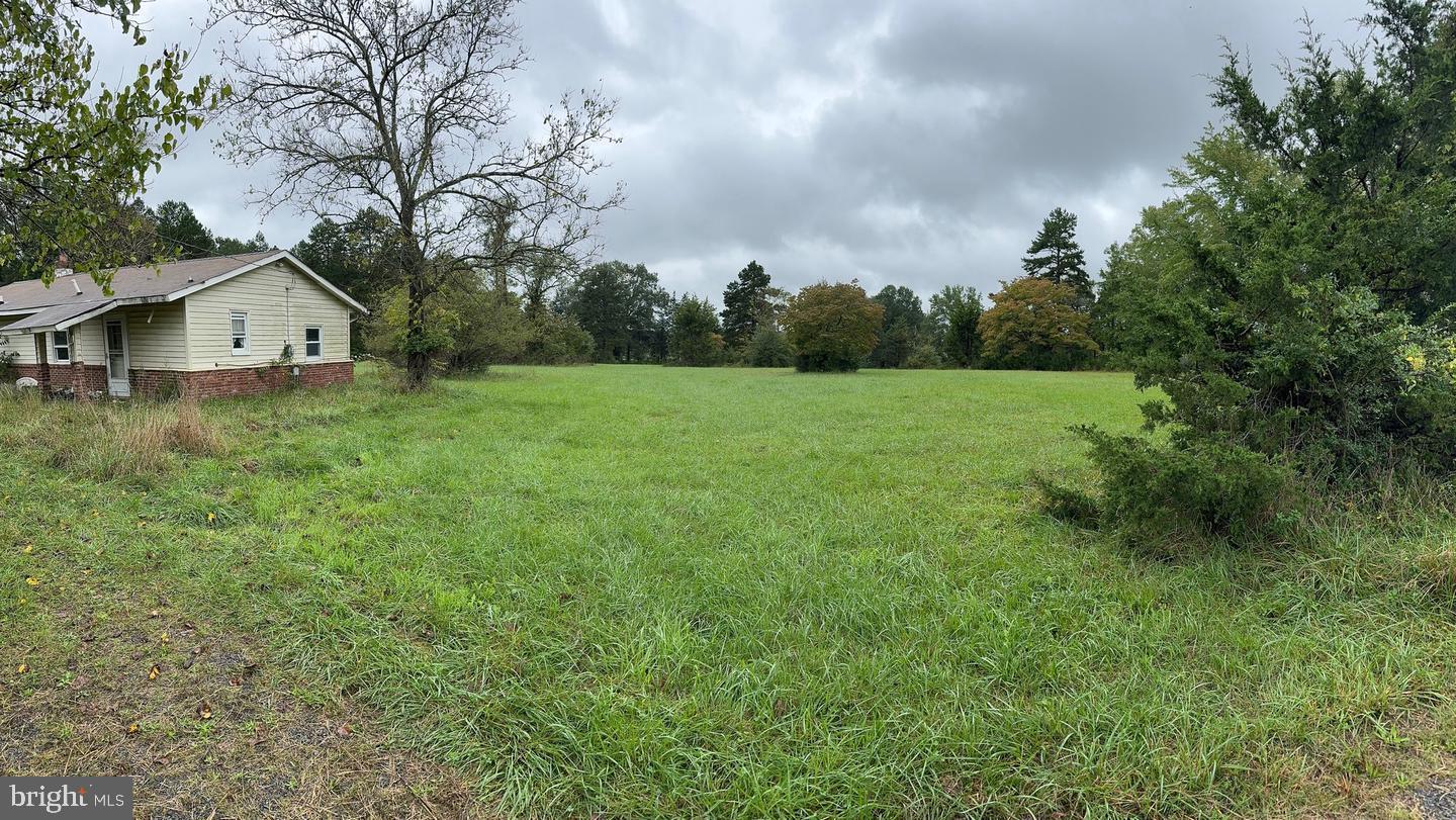 a view of a big yard with plants and large trees