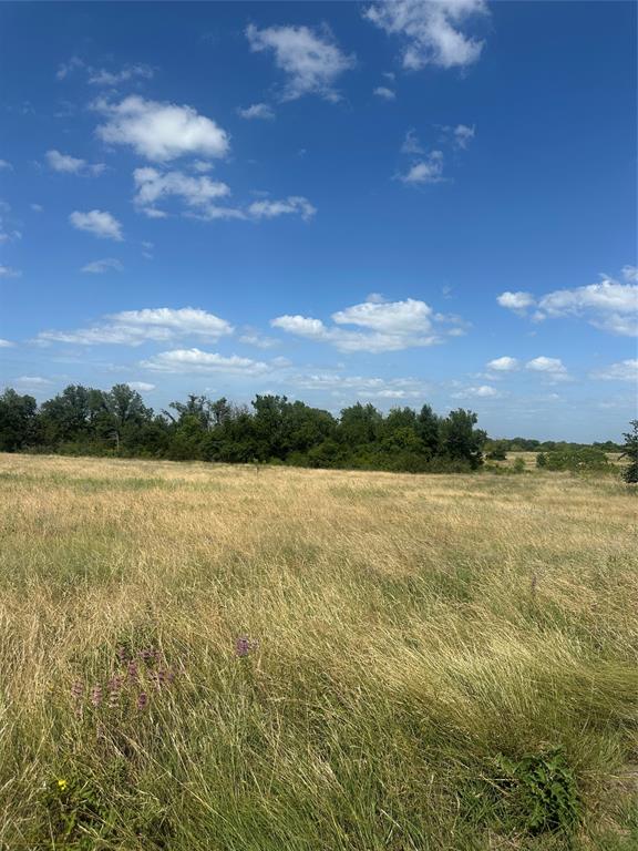 1255 Alexander Road Stephenville, TX 76401 - Photo 5 of 40
