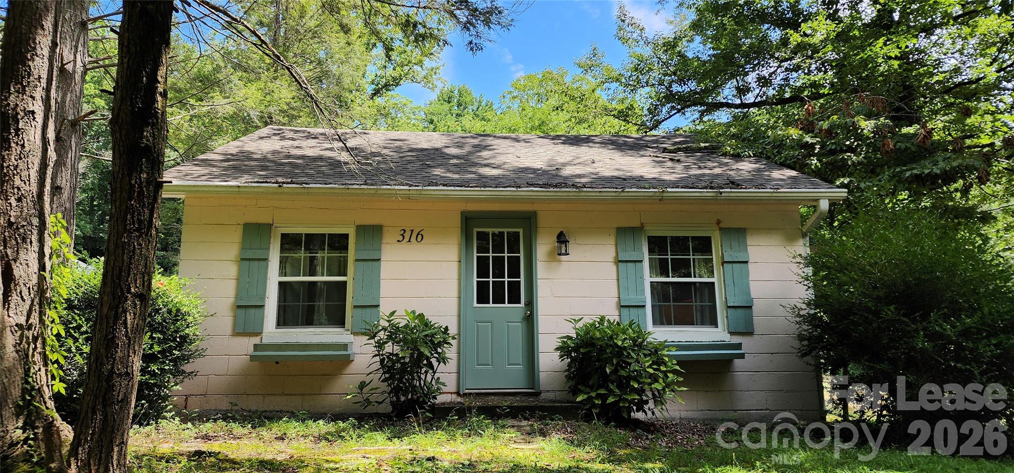 316 Warrior Mountain Road Tryon, NC 28782 - Photo 4 of 31