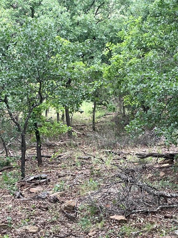 31.09-ac Hoefle Road Jacksboro, TX 76458 - Photo 19 of 33 a view of outdoor space with lots of trees