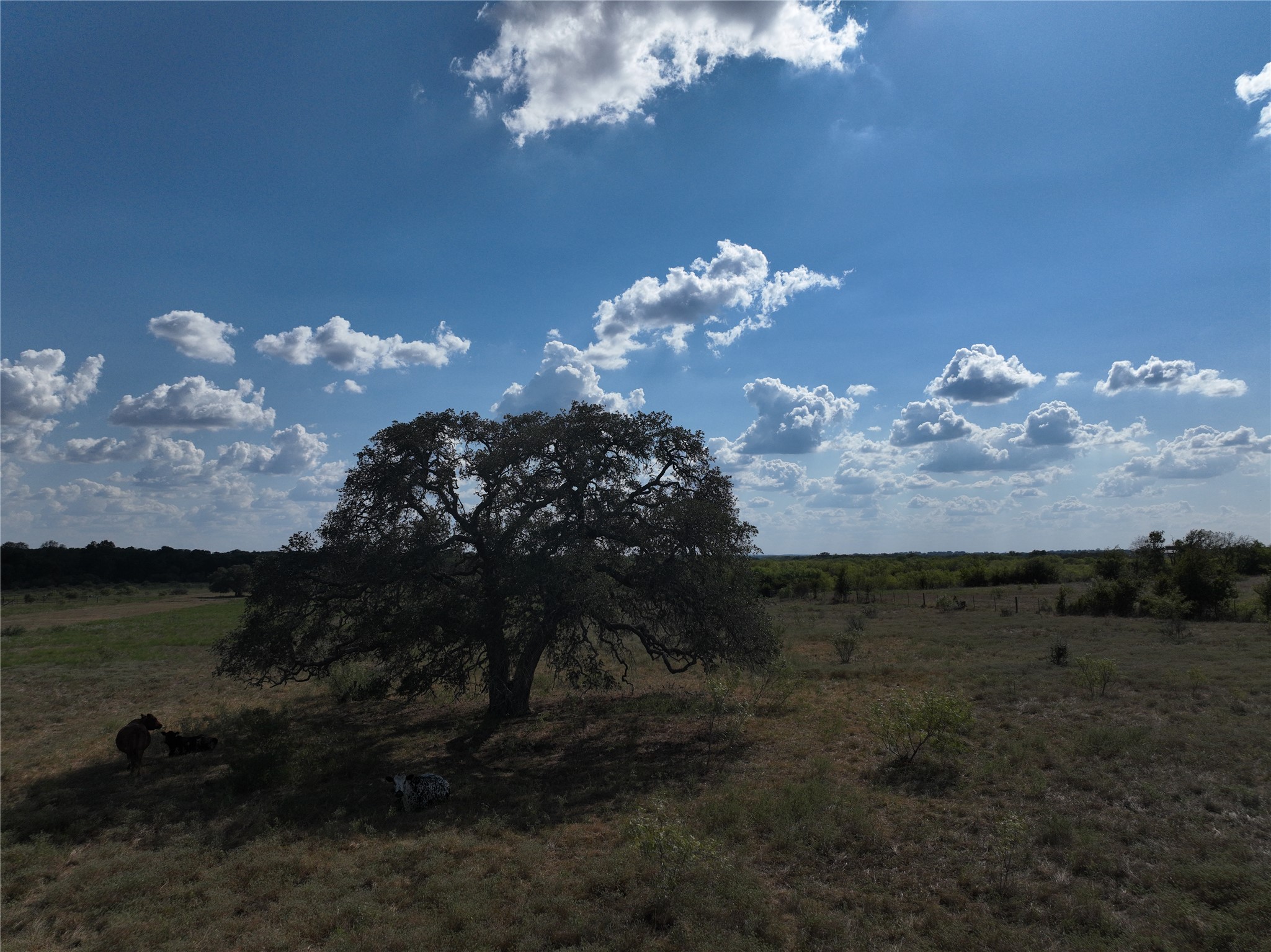 Tbd Lot 1 Tenney Creek Road Dale, TX 78616 - Photo 12 of 12