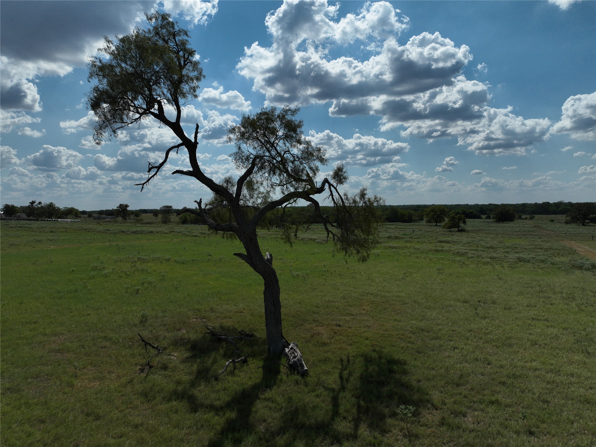 Tbd Lot 1 Tenney Creek Road Dale, TX 78616 - Photo 9 of 12 a view of a lake in between two of trees