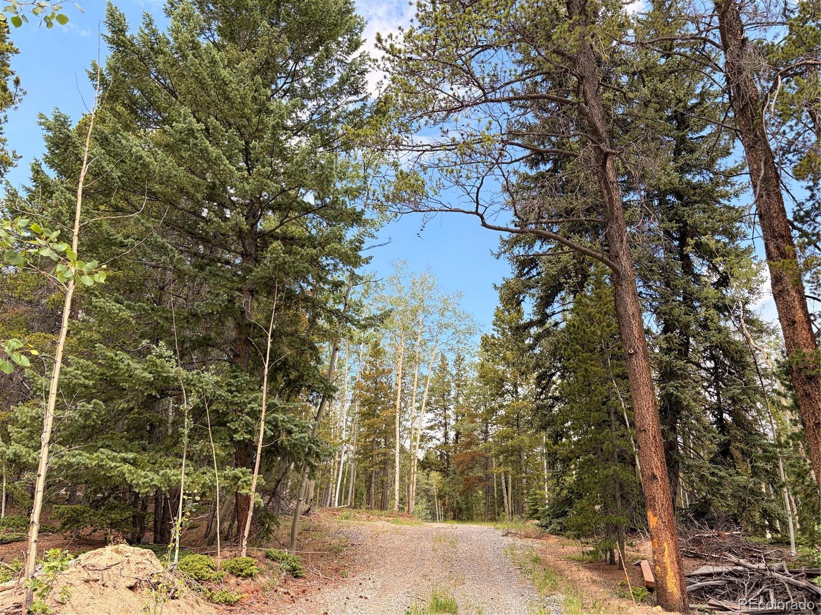 5940 Virginia Canyon Road Central City, CO 80427 - Photo 8 of 28