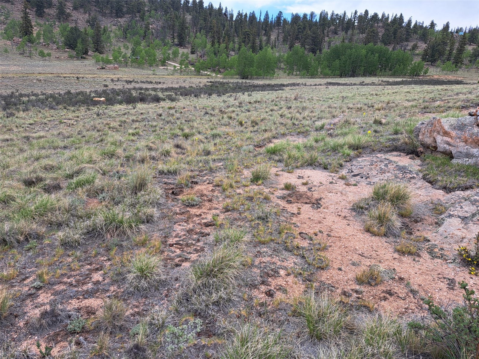 80 Longbow Court Como, CO 80456 - Photo 12 of 24 a view of dirt field with trees