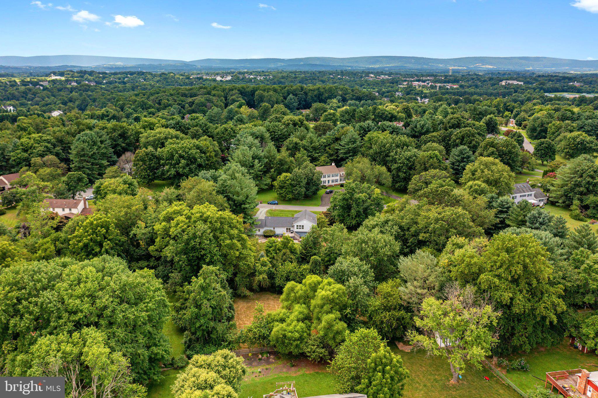 17586 Evers Court Hamilton, VA 20158 - Photo 46 of 53