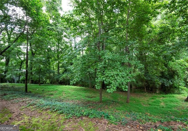0 Bernard Road Northwest Atlanta, GA 30318 - Photo 1 of 1 View of green lawn