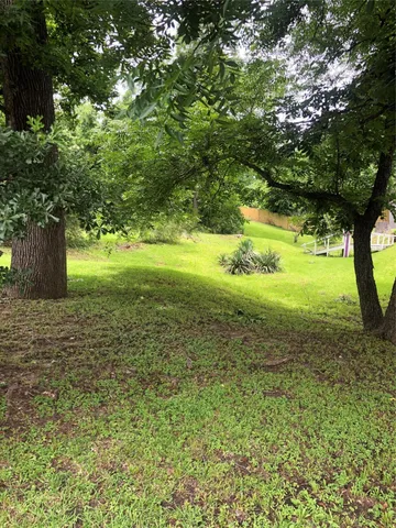 a view of a yard with a tree