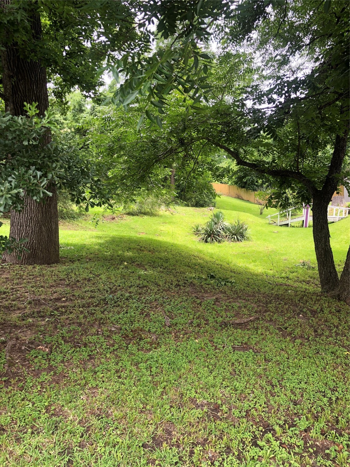 409 7th Street Huntsville, TX 77320 - Photo 5 of 17 a view of a yard with a tree