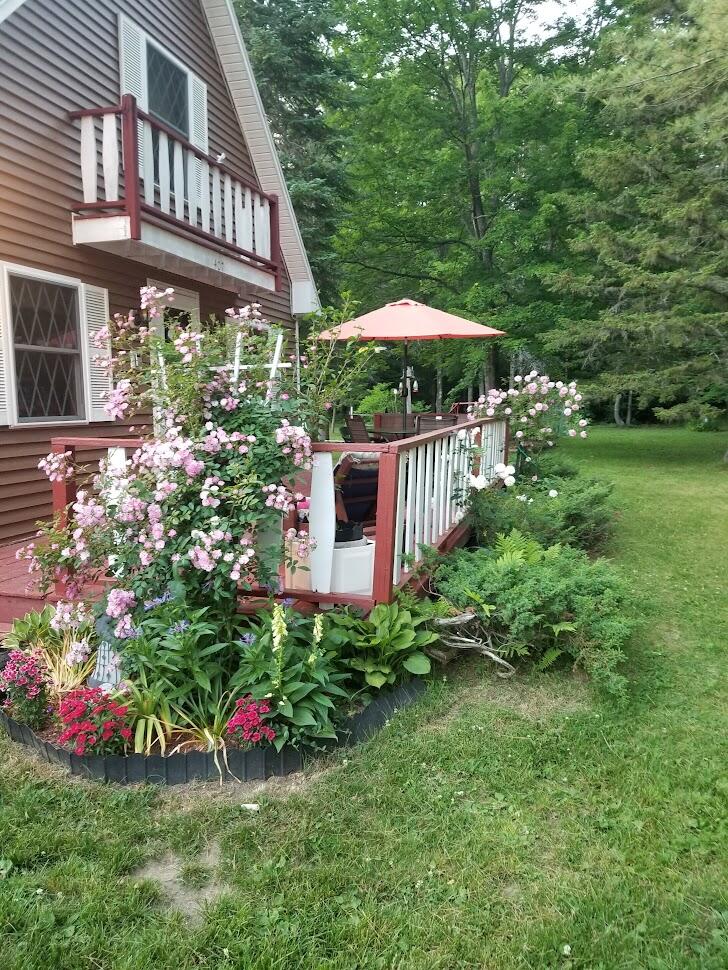 407 Songo School Road Naples, ME 04055 - Photo 38 of 52 House in bloom
