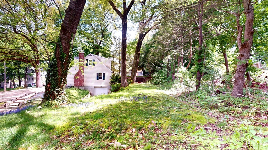 91 Prospect Street Wellesley, MA 02481 - Photo 5 of 34 Gallery Image 5