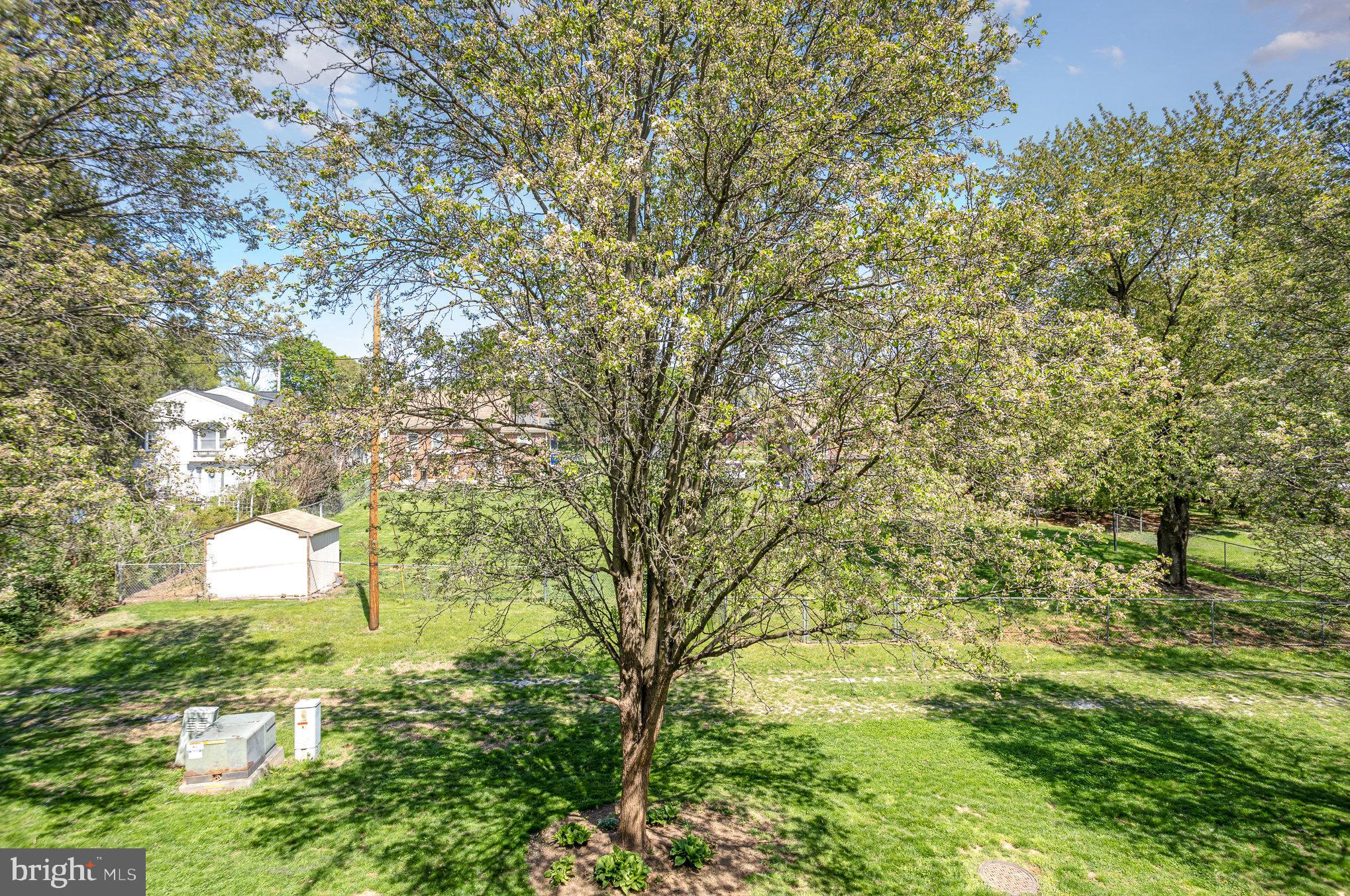 415 Weldon Drive York, PA 17404 - Photo 26 of 34 a close up of a trees in a yard
