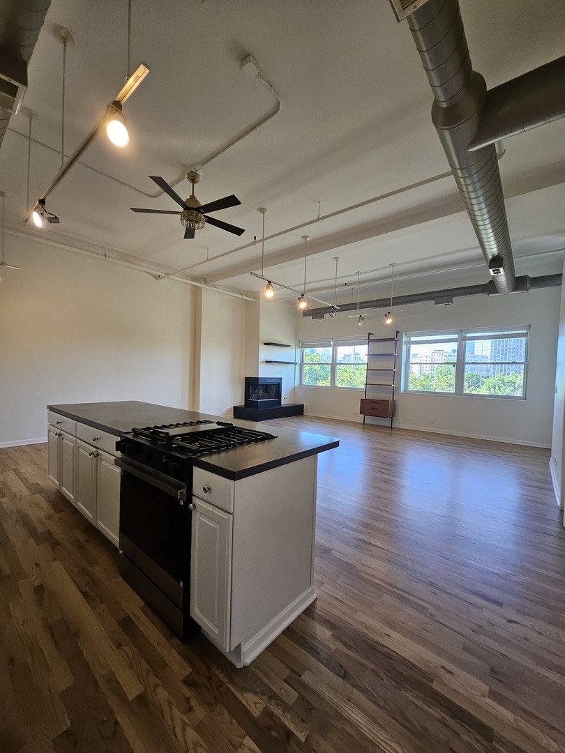 809 North Racine Avenue, Unit 203 Chicago, IL 60642 - Photo 3 of 22