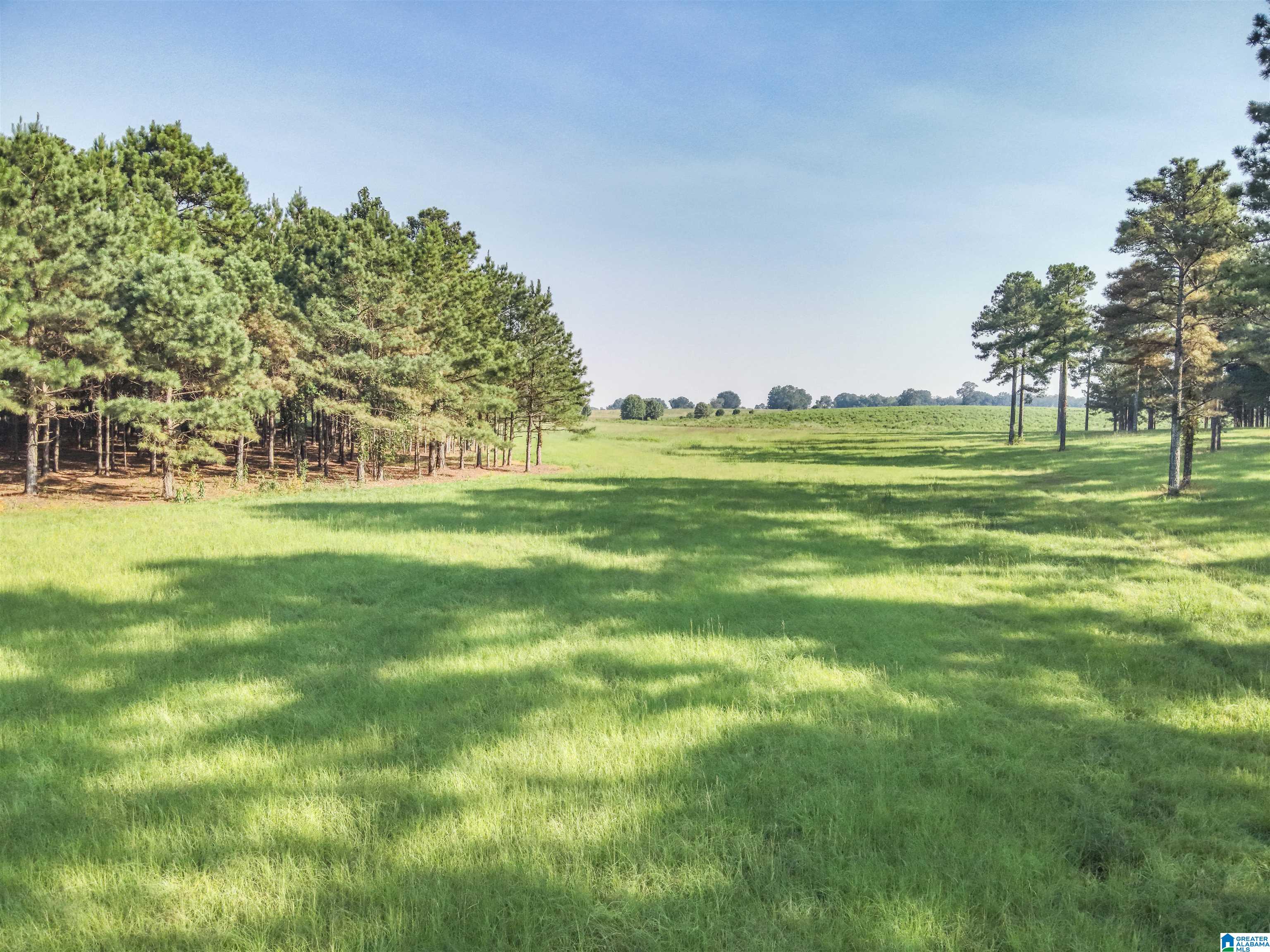 0 County Road 48, Unit 1 Jemison, AL 35085 - Photo 2 of 24