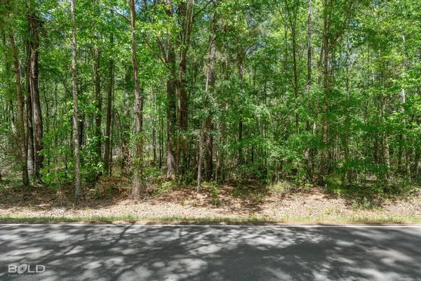$126,352 | 0 Hwy 160 Benton La, Benton, LA 71006