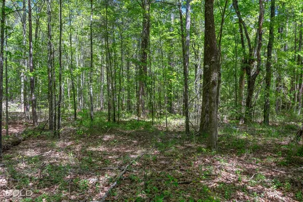 $126,352 | 0 Hwy 160 Benton La, Benton, LA 71006