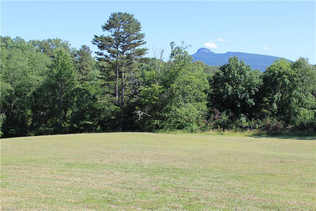 0 Mountain View Road, Unit TRACT B Pilot Mountain, NC 27041 - Photo 1 of 4 Gallery Image 1